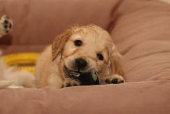 f146035deded1447131393f7b944824e_245