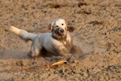 f15d1d589b6466e51fabb1f54d2c3740_245