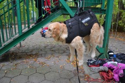 f164710f881af00f8242d25f09e09239_246