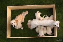 f1870e6b940e5bbe0f9d2ef33001f63e_245