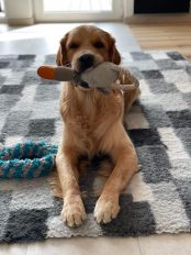 f1b63f8c832c46f5e67fbf70b399944d_174x232_fill