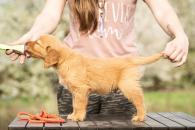 f1cd1e1e4367de9226c43b1519a30b59_195x130_fill