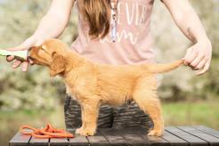 f1cd1e1e4367de9226c43b1519a30b59_246x164_fill