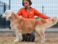 f1dab8d24cfd120c7f0666cdc0ac23a6_228