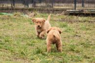 f1dfe41afe3ec3f2ccd8fb0939738aa7_195x130_fill