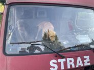 f1ef9911b0b7af1e61d79a418dcb53d7_184x138_fill