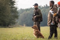 f1f25becdb17df182e5f26fb6e3f0b64_195