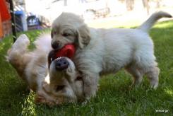 f22b63505c9f3f15432b8004bcbcebdf_245