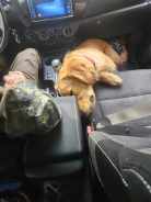 f2358602a88cf3c6a00981d923bff548_138x184_fill