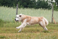 f23da995c450d6dc903e6376a90a7b48_246