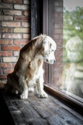 f259fe5d38a5b0b1d2d6bc1b7a676b3a_164x246