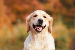 f2769b18ff36d18f2e6c6eb5c9bf8d50_245