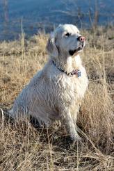 f2987981c08db8b5a337b7df173c95d6_164x246_fill