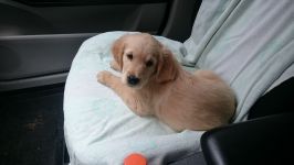 f2d98234ddc23bfeaee6dacd37287d5d_266