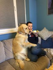 f2e8acca0c655bc8303bd888142d8077_174x232_fill