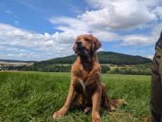 f3638de42d9bd4a4c6a7f97a9d6e541c_231