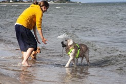 f364072c7261a83bc5b94c4a1804eb91_246