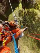 f39189a5fec5d54f33c4c1c3b05f54c8_138x184_fill