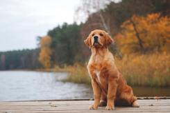 f39ebb7054c07dd83c9ecdc4e126b9f6_245