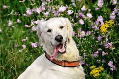 f3d368336c0bfb00d43b7baf818d80f1_245