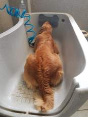 f3fd3e86fc4442942899a762cdde49f3_174x232_fill