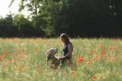 f40f113af9a0361e058a56a2257f5708_245