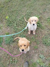 f43368ad17a4e7546d9f947519e3bd5b_174x232_fill