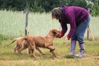 f43b9b57ce22f80883cc601cd58fcac3_194