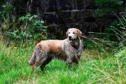 f45dbbc7a71d8014c8637e9797098e83_246