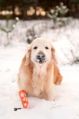 f4a841455b21873d50426891ef1731a8_164x246