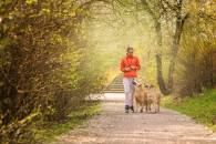 f4b8bf9fff93b9ab908d09d10da927c1_195