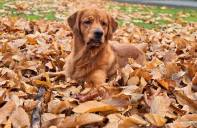 f4c511325e703079dc44814fda4c0095_197