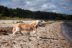 f52faffd6d8751019b3bb1c96616db82_245