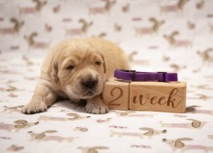 f5416027e9beb6c88d2f98d165c41a8e_237