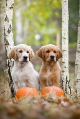 f54246a1dd71fdb78b8f6cffe9a672e7_164x245