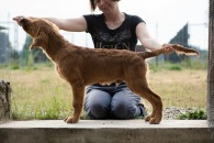 f544b7f12e2bcab1806625a3221a787c_195