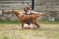 f5487a6a17e7347ec674da6c4fed4472_195x130_fill