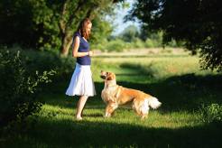 f5996bdb9948cd6306b1337bd50327f4_246