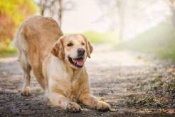 f5bbb57b1c0baf7b41fe2672d2e4a1e9_246