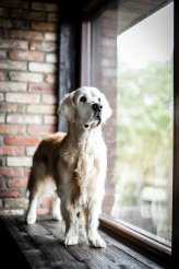 f5c11ef3f061184d83c911a9c4cf3ed4_164x246