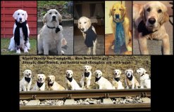 f5f38298fc428ad02f22021907fd3ec1_247