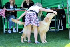 f60989adfc50cd9f0c87926b07566e80_245