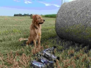 f62f69a564a2b0870c2caa49f907cc39_184x138_fill