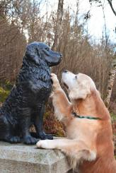 f644aaf42c605510d0353cb4e2abc156_164x245