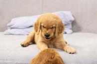 f6511e09b01550843ceae98c8cbe9f26_195x130_fill