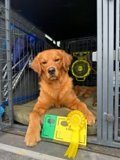 f6637212033ad230e4acaad497d33a4d_174x232