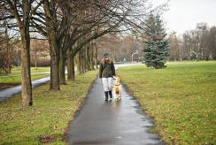 f671f420bd8b999d6c0d020f6b7c4303_244