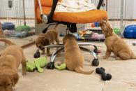 f67a6af3740a0434935547709353253c_195x130_fill