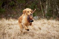 f6df880b5f14776170c248c475437eb7_246