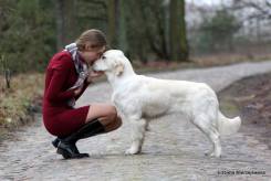 f6f7dc2d1ab7e3fce4bab7d041338915_245